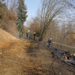 PALOVICE_05_03_12_(17)