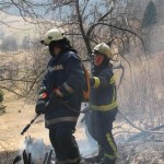 PALOVICE_05_03_12_(19)