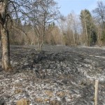 PALOVICE_05_03_12_(2)