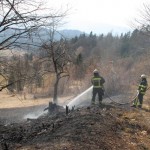 PALOVICE_05_03_12_(22)