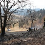 PALOVICE_05_03_12_(24)