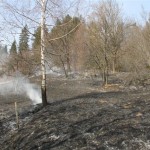 PALOVICE_05_03_12_(3)
