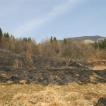 PALOVICE_05_03_12_(5)