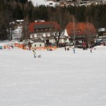 SMUCANJE_25_02_12_(2)